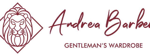 Andrea-Barberi_main-logo-1.png