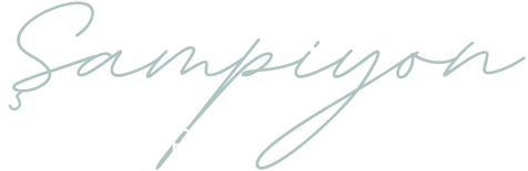 logo-433.png