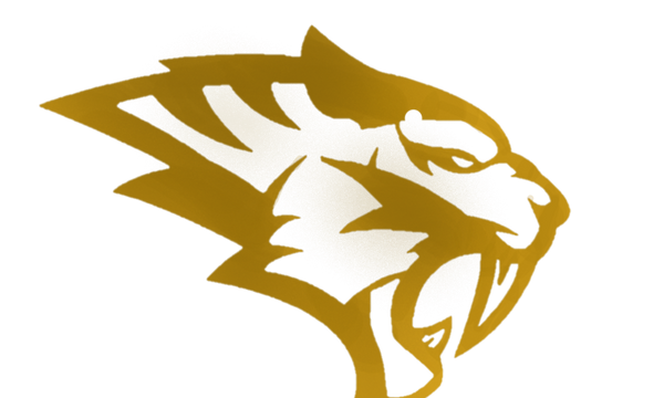 logo_gold-2.png