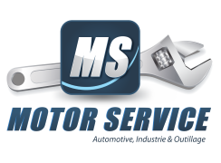 ms-logo-head-1.png